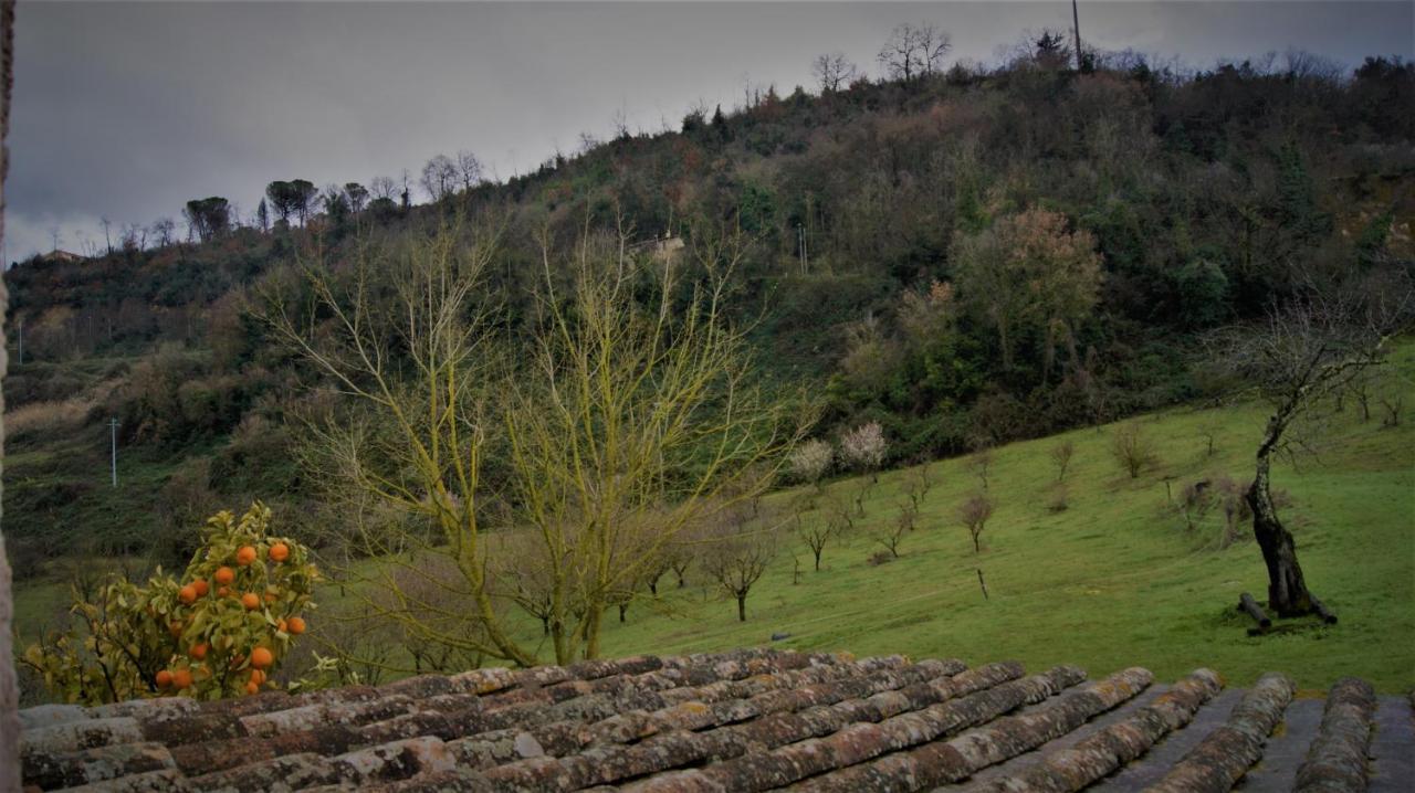 Agriturismo Monterone Ponzano Romano Exterior foto